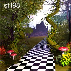 5'x8' ST198